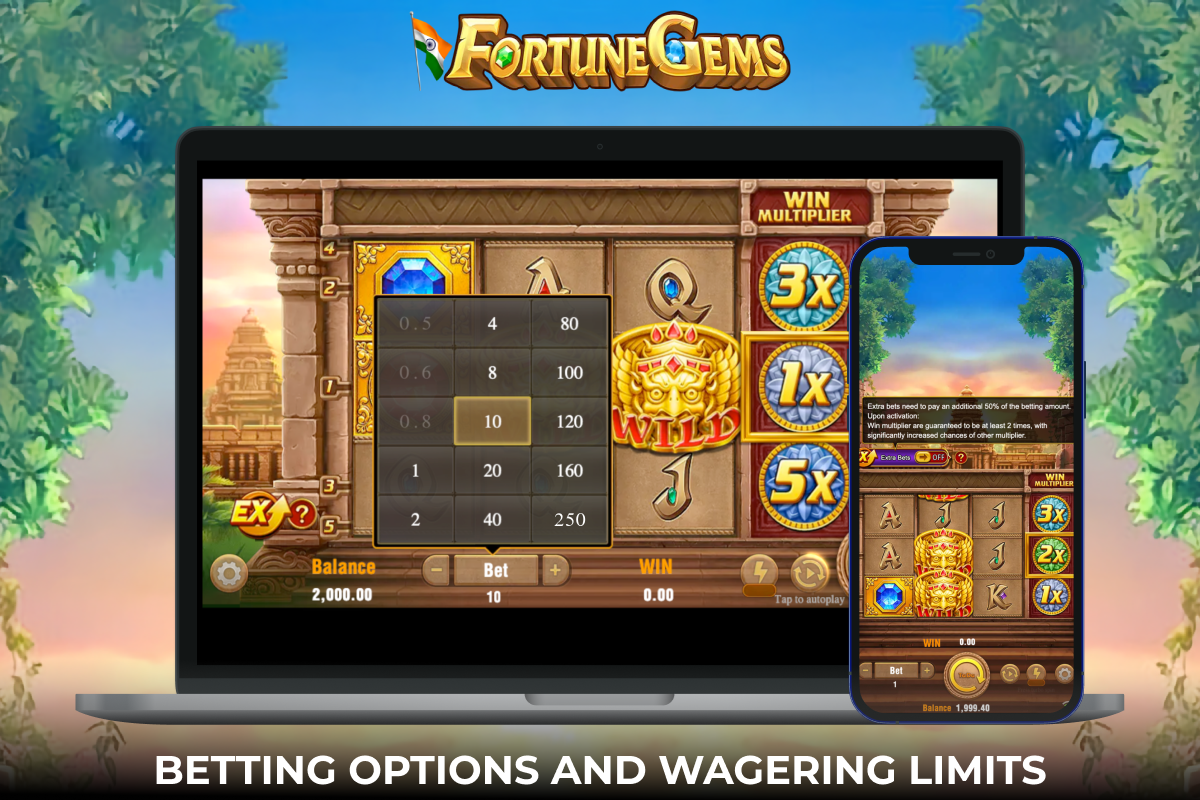 A variety of betting and wagering options are available at Fortune Gems